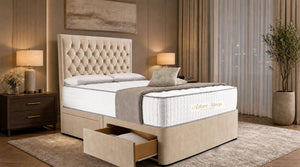  Plush Velvet Beige