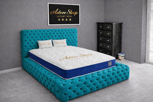 Plush Velvet Teal