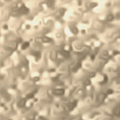 Crushed Velvet Champagne