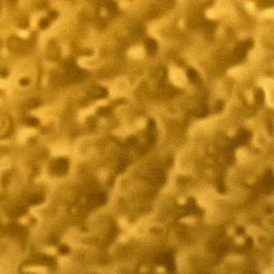 Crushed Velvet Gold