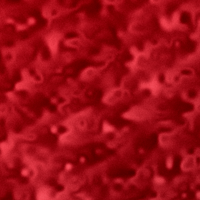 Crushed Velvet Red