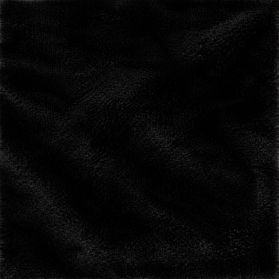 Plush Velvet Black