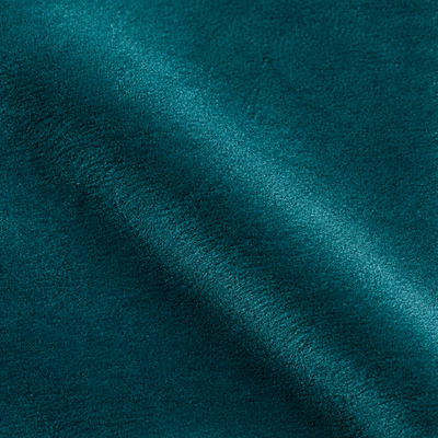 Plush Velvet Teal