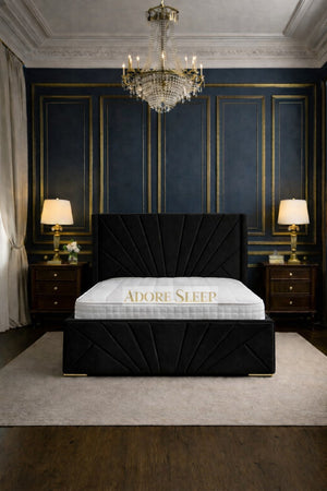 Plush Velvet Black