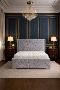 Plush Velvet Silver - Monaco Royale Luxury Fan-Panel Upholstered Bed Frame